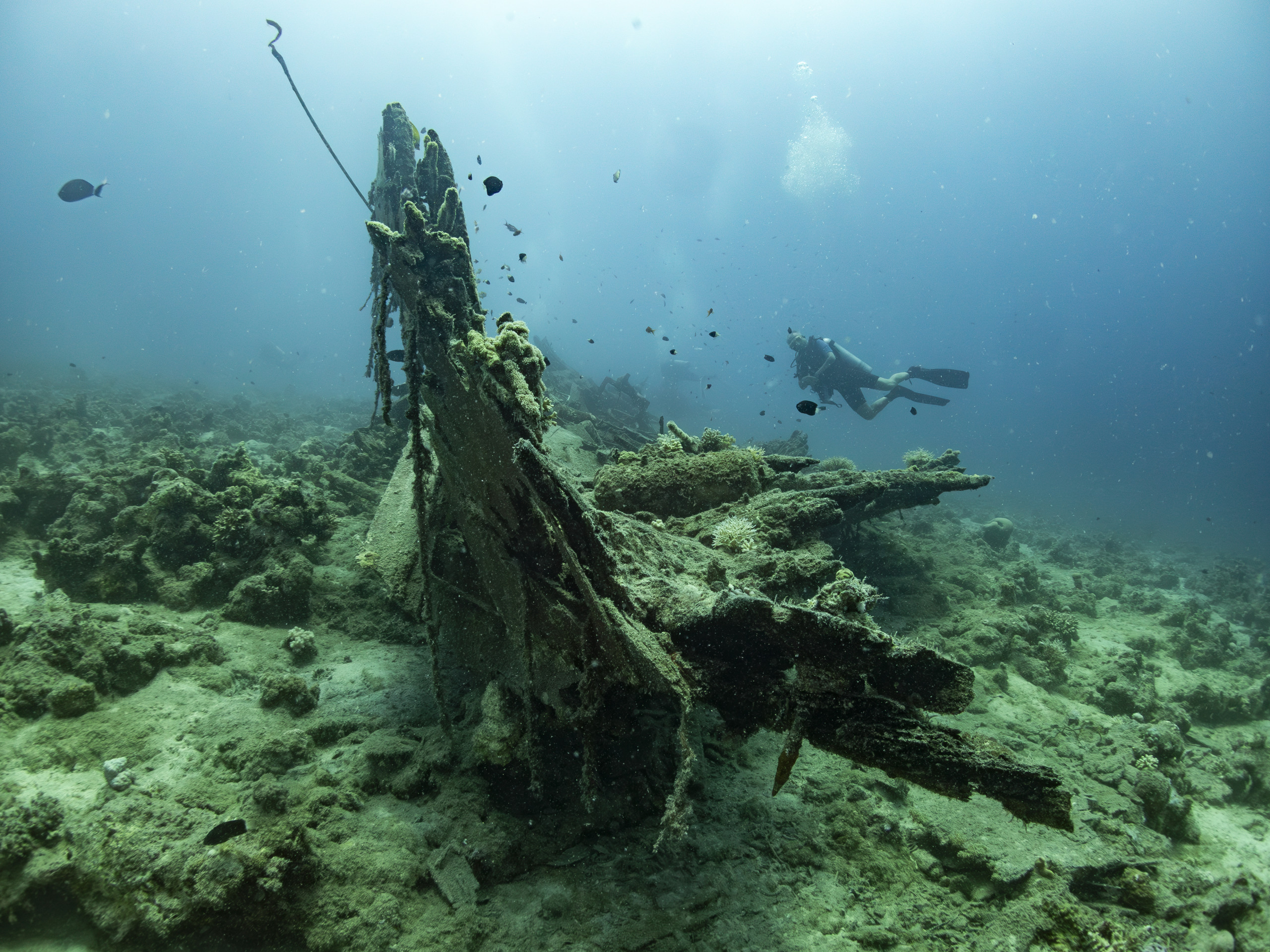 PADI® Advanced open water Course