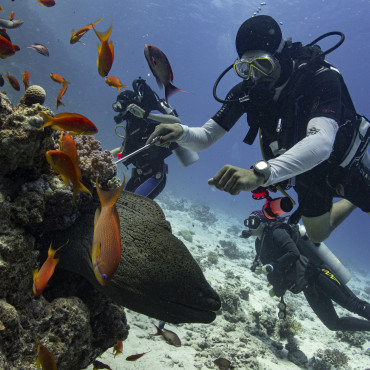 Mohamed Ali, Padi Divemaster, Hurghada