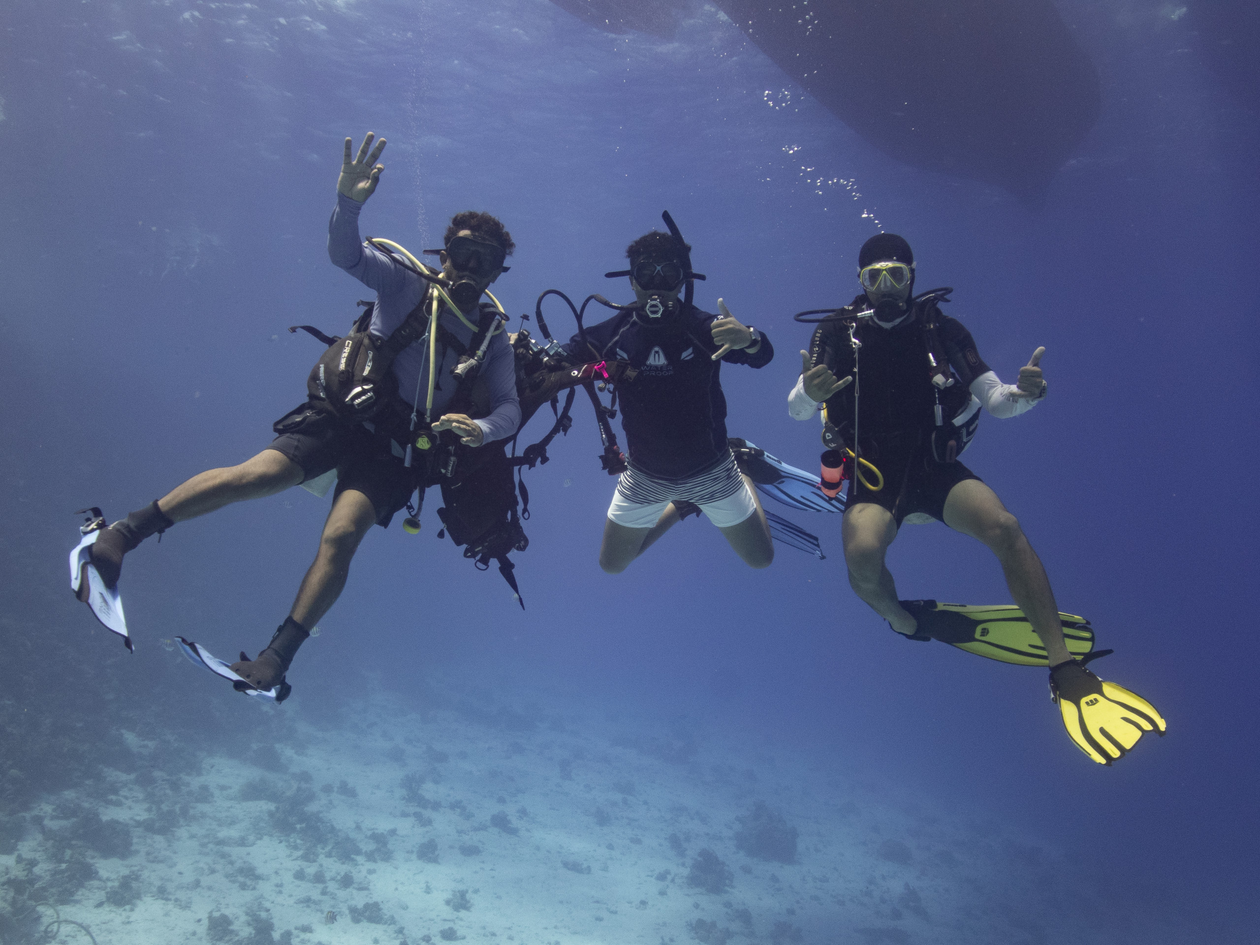PADI® AWARE Specialty