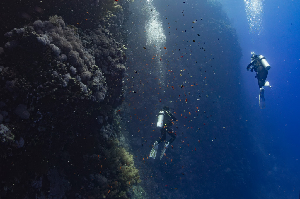 two divers at a reef wall