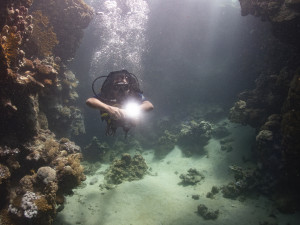 A diver in a canyon